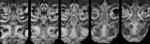 ... brain of the anoxia resistent carp