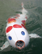 Robot Carp
